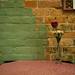 After expanding the restaurant, Silvio's owner Silvio Medoro liked the shape of Michigan outline in the brick wall, so he kept it. He has owned the restaurant for seven years. Daniel Brenner I AnnArbor.com